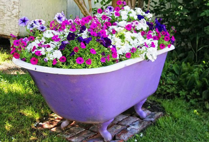 Как украсить ванну в огороде фото
