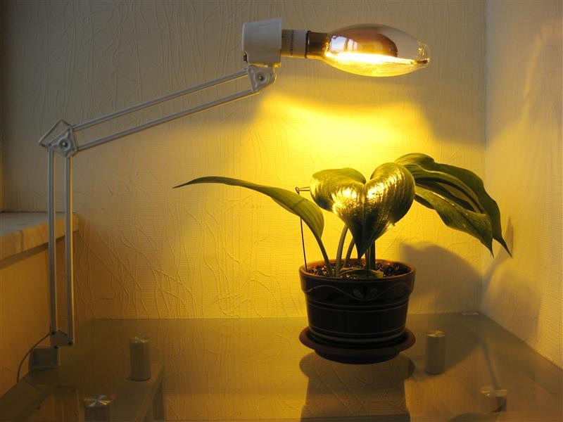 Пример использования лампы накаливания