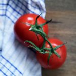 bezrassadnyj-sposob-vyrashhivaniya-tomatov-v-otkrytom-grunte