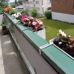 kakie-cveti-posadit-na-balkone-10