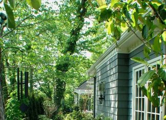 Ландшафтный дизайн для вашего двора