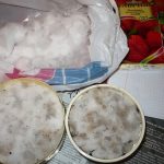 zemlyanika-na-balkone-2