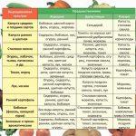 visadka-rassadi-pomidor-4