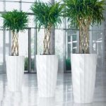 1523953330_dizajn-balkona-7-1