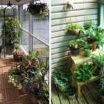 1524160279_dizajn-balkona-sad-1