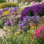 miksborder-na-dache-6