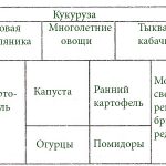 variant-planirovki-nebolshogo-ogoroda-1