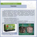 9ku5RXOrZXk-24-e1541692048365