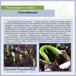9ku5RXOrZXk-26-e1541748318540