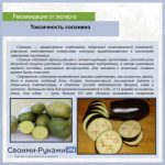 9ku5RXOrZXk-27-e1541751891320-1