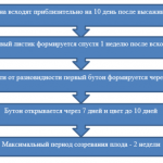 D091D0B5D0B7D18BD0BCD18FD0BDD0BDD18BD0B9-2-e1541750292996-1