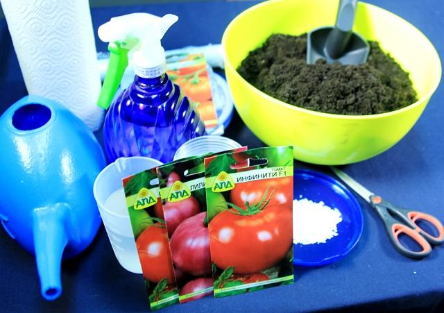 Что потребуется для посева семян томатов