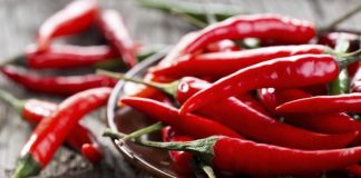 Маринованный горький перец на зиму: рецепты