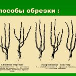 D0A4D0BED182D0BE-32-3-e1548903835131