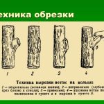 D0A4D0BED182D0BE-33-3-e1548903890875