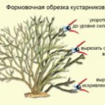 D0A4D0BED182D0BE-6-5-300×152