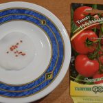 podgotovka-semyn-tomatov-07-e1549030025431