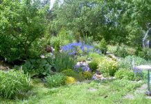 Красивая дача с альпийской горкой своими руками