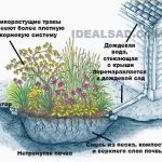 dozhdevaja-voda-na-dache-sbor-otvod-ispolzovanie8