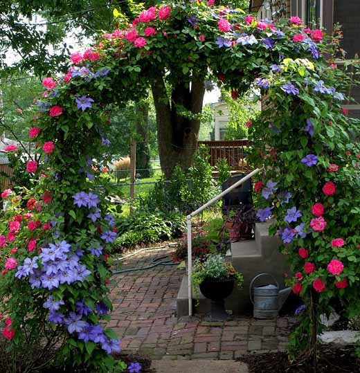 арка из цветов и роз в саду