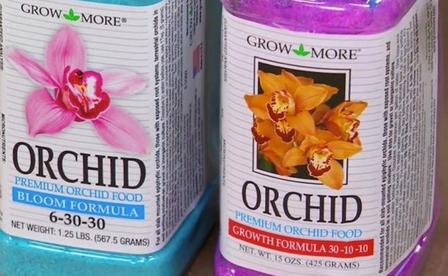 Подкормки орхидей в зависимости от стадии развития