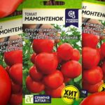 tomat-mamontenok-2
