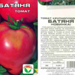 tomat-batyanya-2