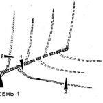obrezka-vinograda-osenyu-3