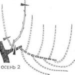 obrezka-vinograda-osenyu-5