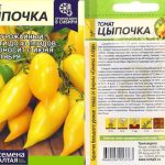 tomat-cypochka-3