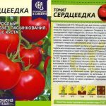 tomat-serdceedka-2