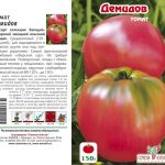 tomat-demidov-2