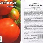 tomat-sanka-2