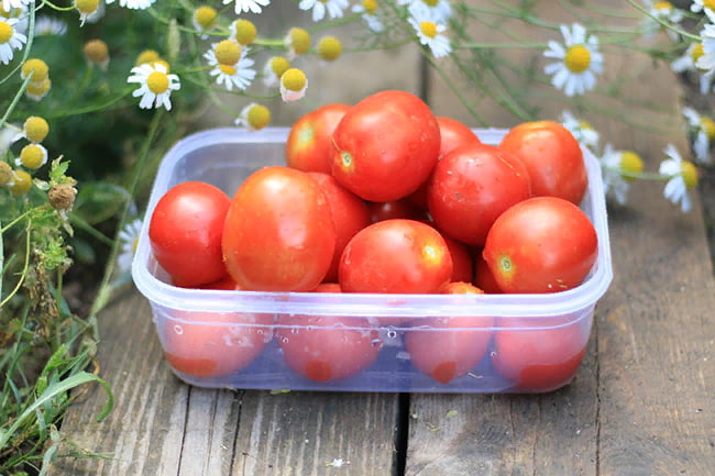 С выращенных помидоров можно собрать семена