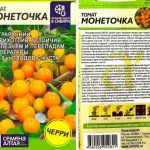 tomat-monetochka-2