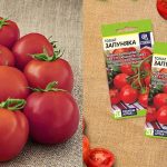 tomat-zapunyaka-5