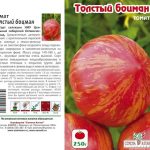 tomat-tolstyj-bocman-2