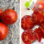 tomat-tolstyj-bocman-4